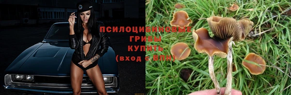сатива Алексин